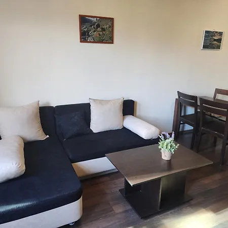 Pirin View Apartament *