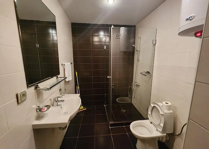 Pirin View 아파트 반스코